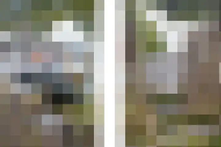 Wilhelmina Voorwindenkade 12 Rotterdam thumbnail 20