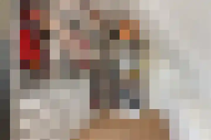 Wilhelmina Voorwindenkade 12 Rotterdam thumbnail 32