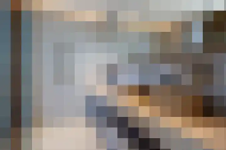 Wilhelmina Voorwindenkade 38 Rotterdam thumbnail 25
