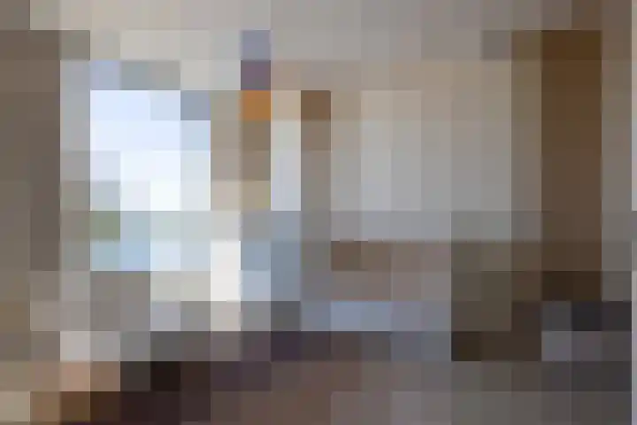 Wilhelmina Voorwindenkade 38 Rotterdam thumbnail 37