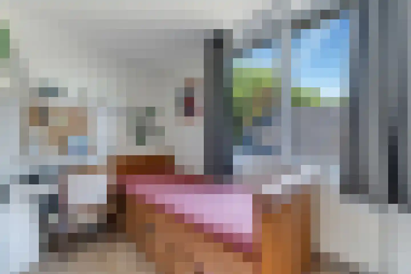 Wilhelminadwarsweg 6 a Nijverdal thumbnail 18