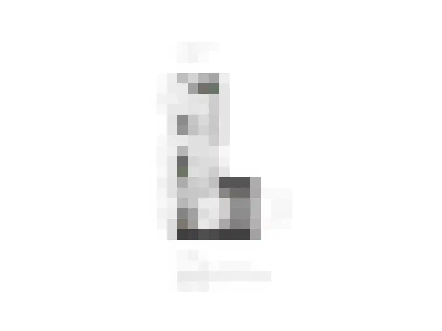 Wilhelminadwarsweg 6 a Nijverdal thumbnail 34