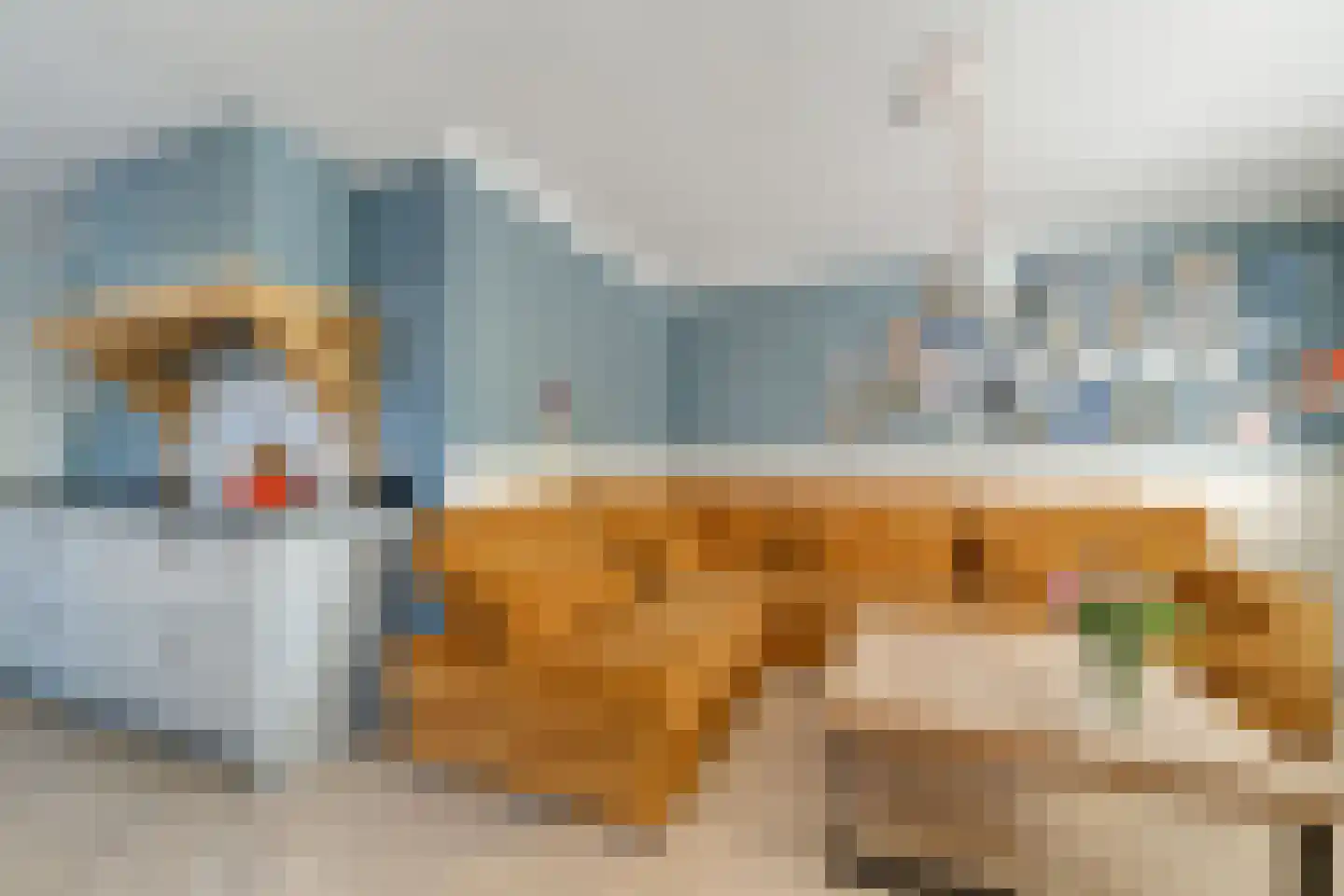 Wilhelminadwarsweg 6 a Nijverdal thumbnail 5