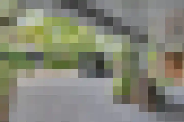 Wilhelminahoeve 22 Krimpen aan den IJssel thumbnail 10
