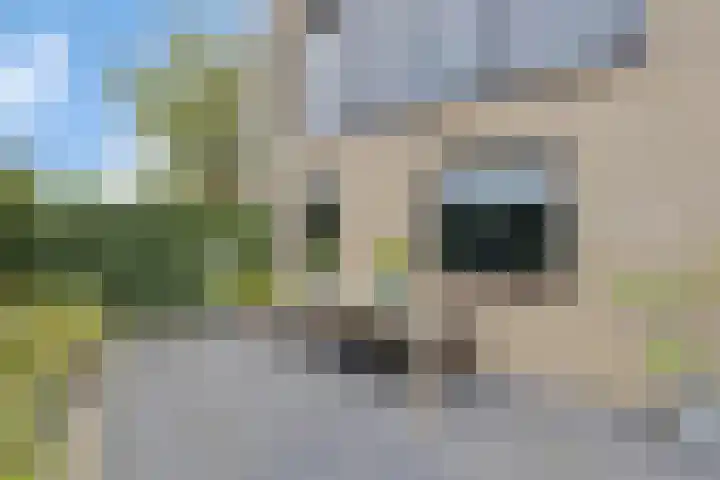 Wilhelminahoeve 22 Krimpen aan den IJssel thumbnail 33