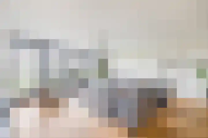 Wilhelminahoeve 22 Krimpen aan den IJssel thumbnail 4