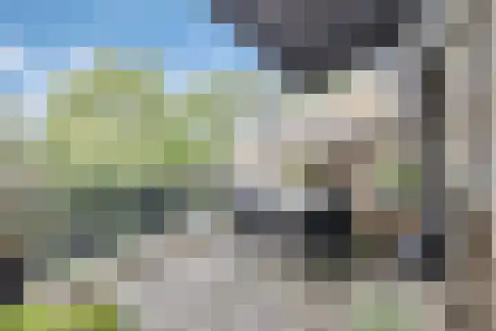 Wilhelminahoeve 22 Krimpen aan den IJssel thumbnail 46