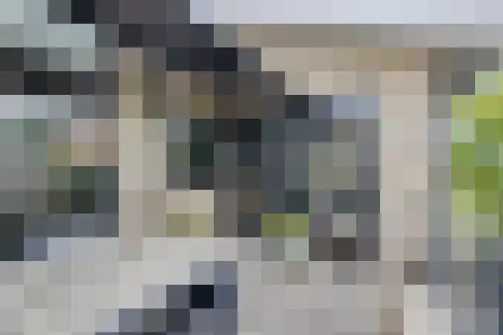 Wilhelminahoeve 22 Krimpen aan den IJssel thumbnail 47