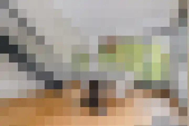 Wilhelminahoeve 22 Krimpen aan den IJssel thumbnail 48