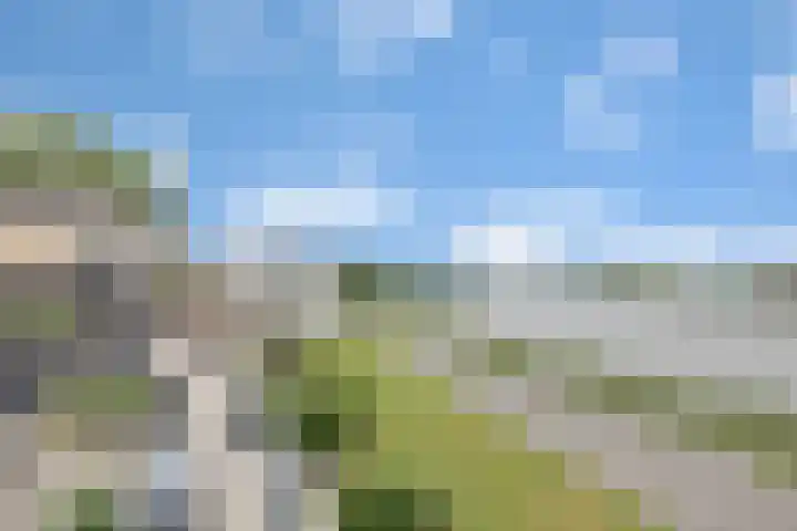 Wilhelminahoeve 22 Krimpen aan den IJssel thumbnail 56