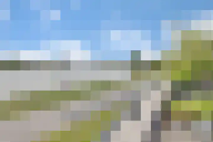 Wilhelminahoeve 22 Krimpen aan den IJssel thumbnail 57
