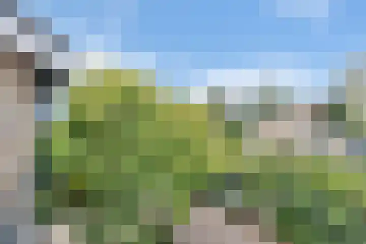 Wilhelminahoeve 22 Krimpen aan den IJssel thumbnail 59