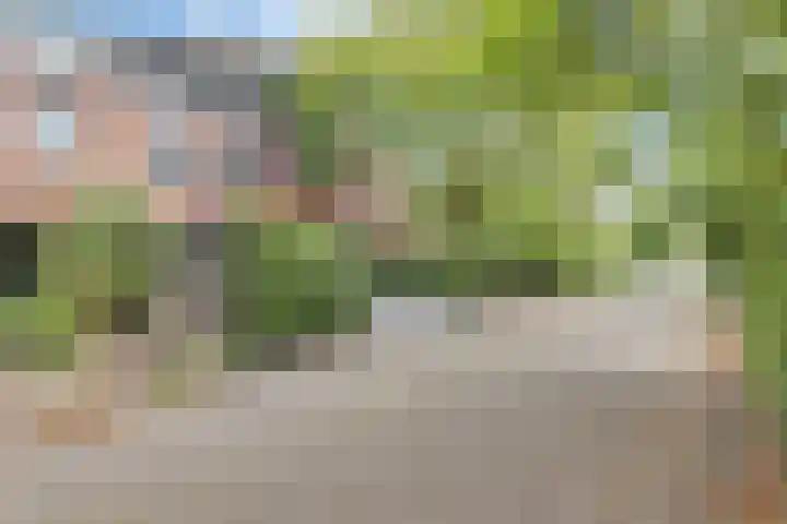 Wilhelminahoeve 22 Krimpen aan den IJssel thumbnail 60