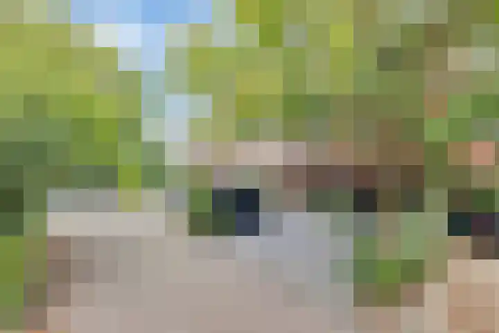 Wilhelminahoeve 22 Krimpen aan den IJssel thumbnail 62