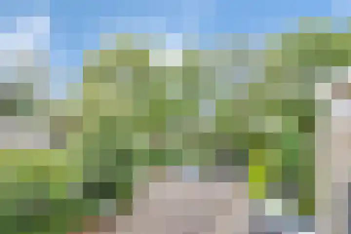 Wilhelminahoeve 22 Krimpen aan den IJssel thumbnail 64