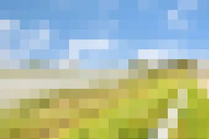 Wilhelminahoeve 22 Krimpen aan den IJssel thumbnail 70