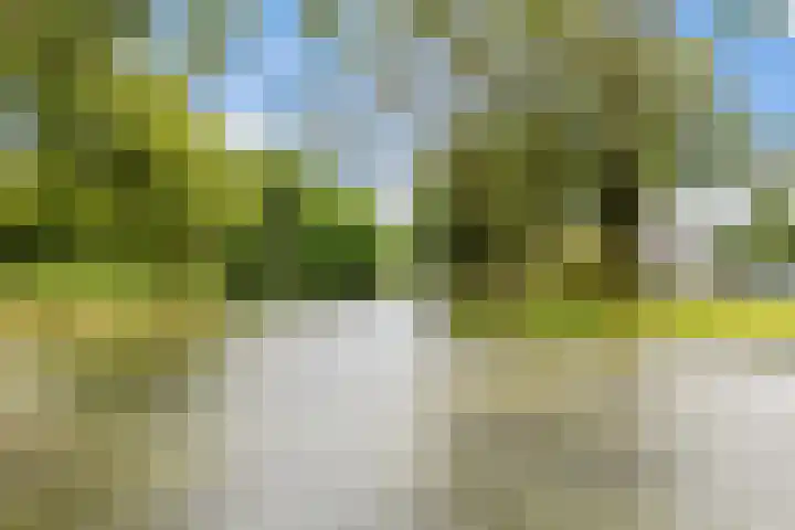 Wilhelminahoeve 22 Krimpen aan den IJssel thumbnail 72