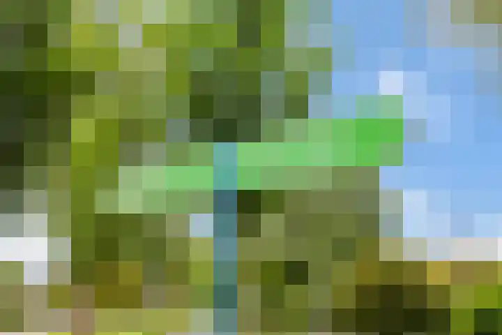 Wilhelminahoeve 22 Krimpen aan den IJssel thumbnail 74