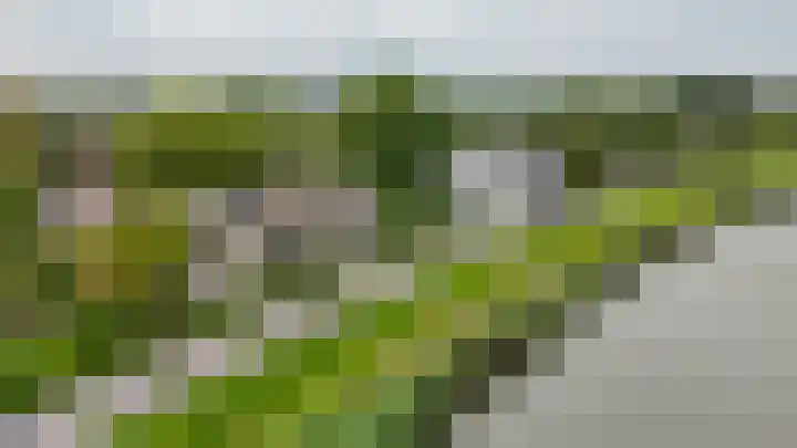 Wilhelminahoeve 22 Krimpen aan den IJssel thumbnail 85
