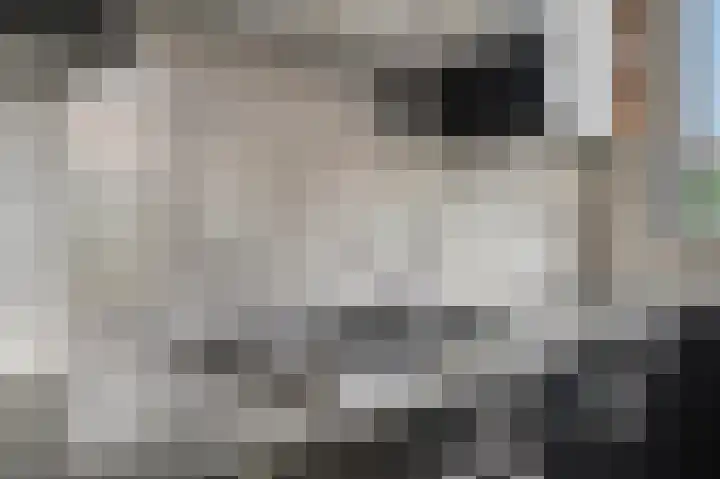 Wilhelminahof 1 Dodewaard thumbnail 24