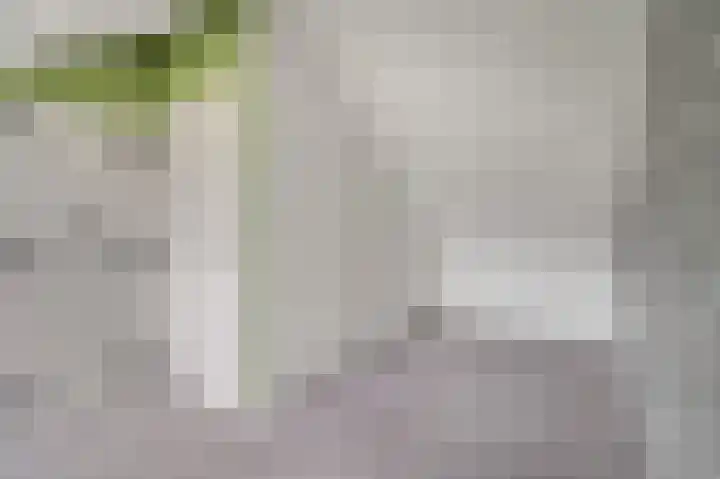 Wilhelminahof 1 Dodewaard thumbnail 43
