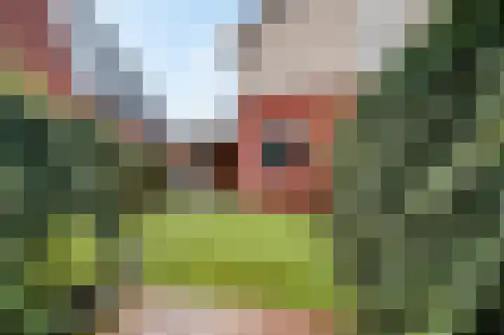 Wilhelminahof 1 Dodewaard thumbnail 9