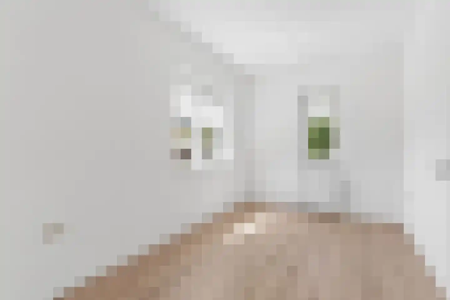Wilhelminahof 10 Dodewaard thumbnail 27