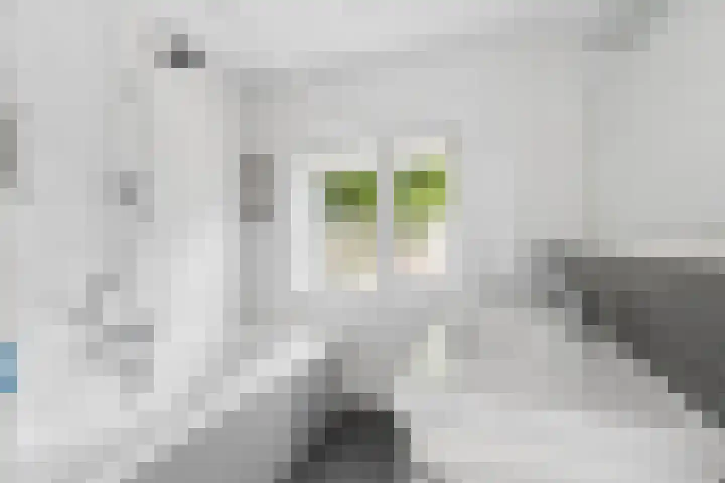 Wilhelminahof 10 Dodewaard thumbnail 28
