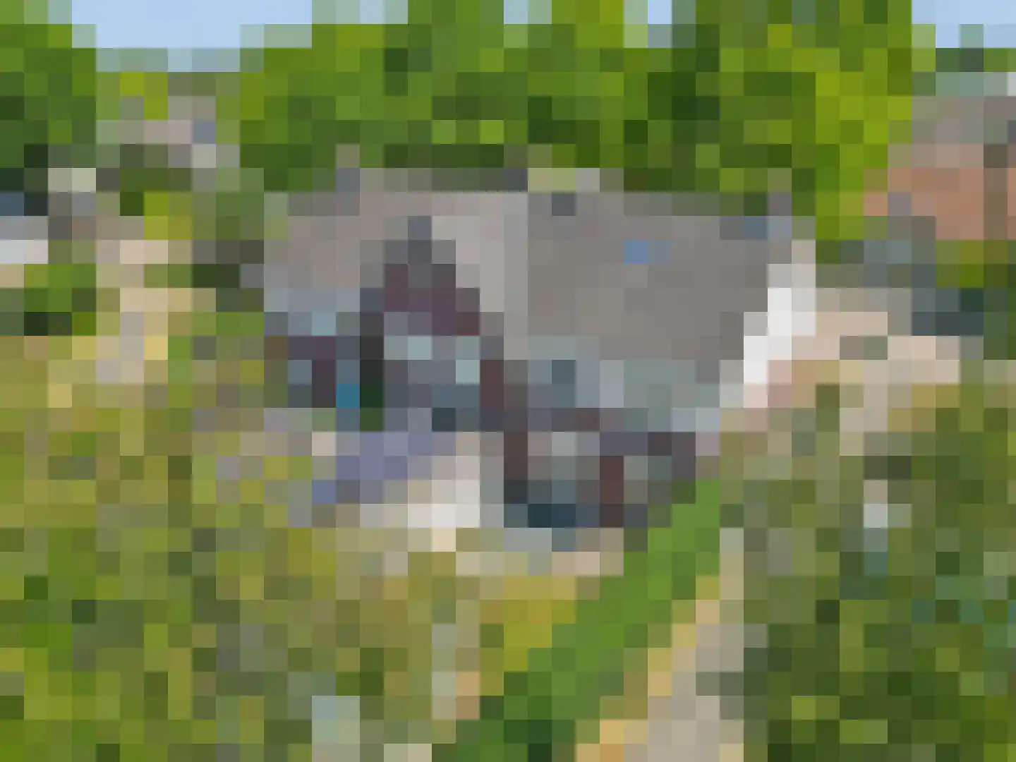 Wilhelminahof 10 Dodewaard thumbnail 4