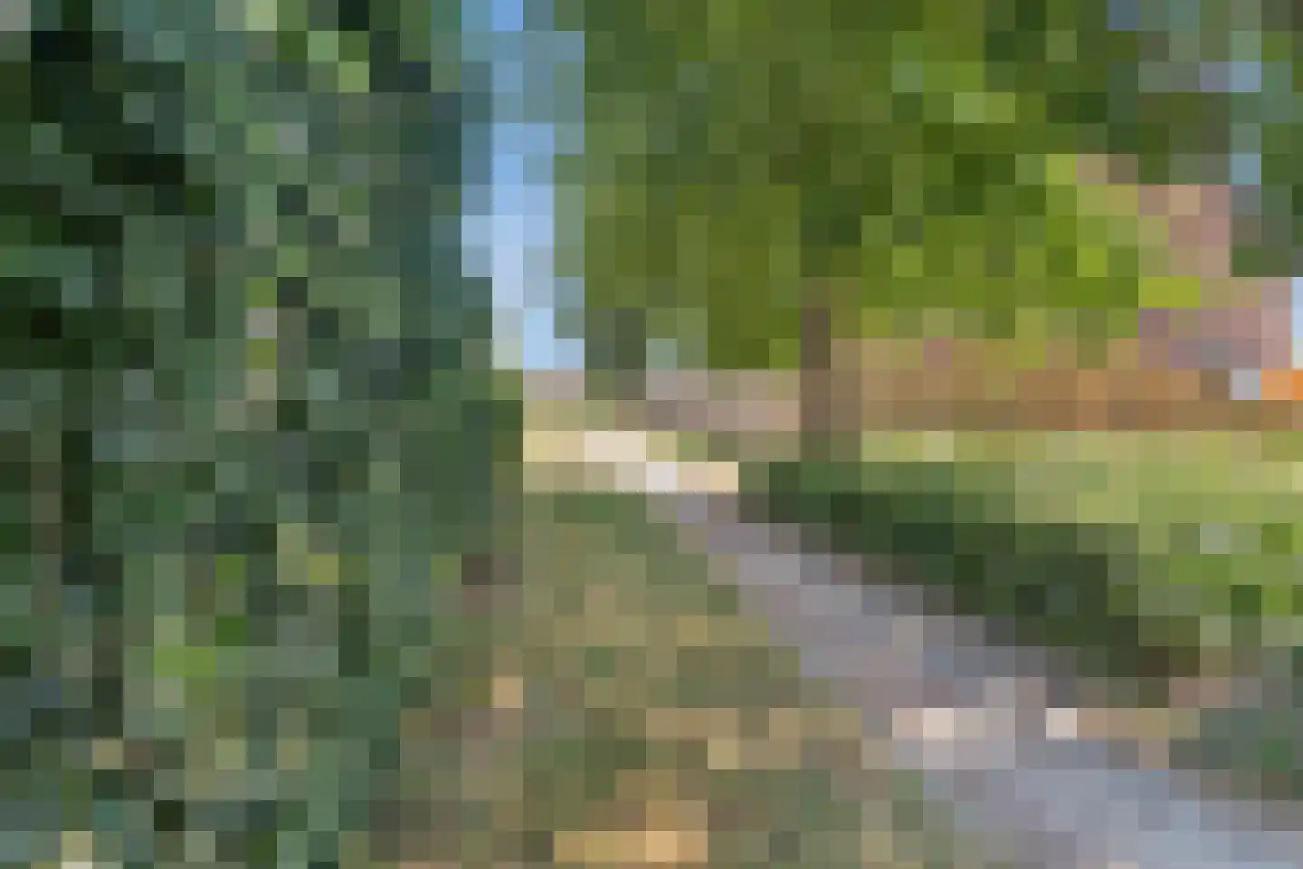 Wilhelminahof 10 Dodewaard thumbnail 44