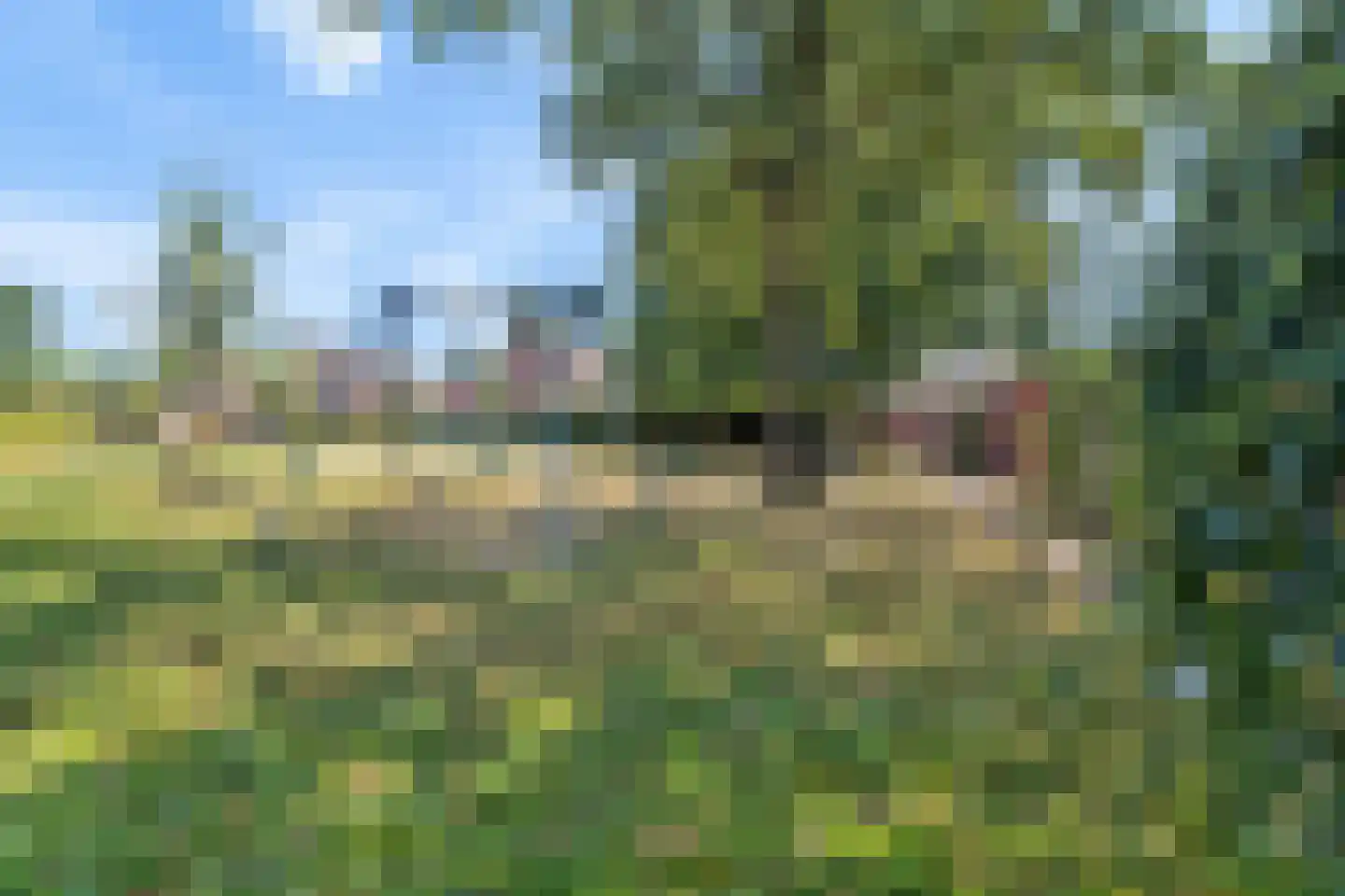Wilhelminahof 10 Dodewaard thumbnail 45