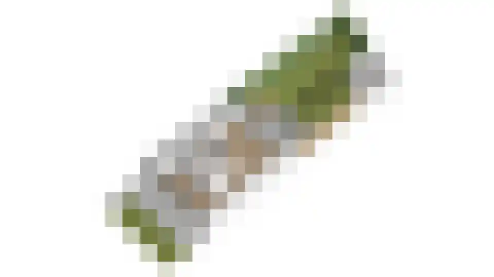 Wilhelminahof 10 Dodewaard thumbnail 52