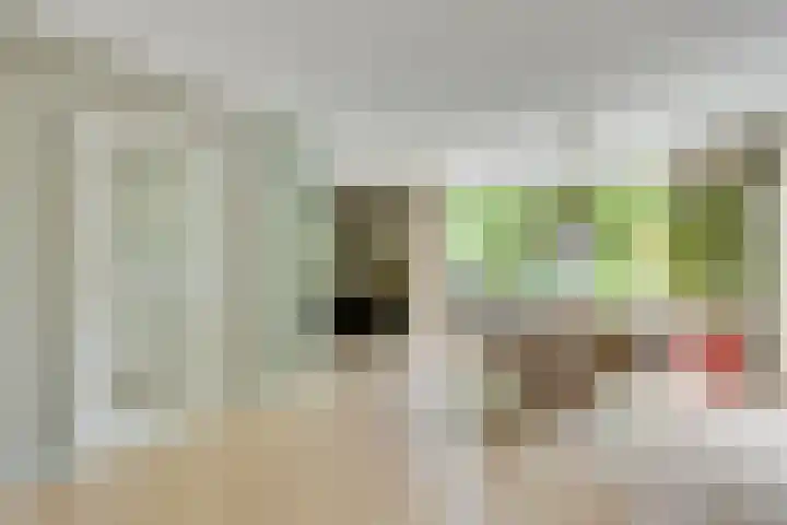 Wilhelminahof 11 Deurne thumbnail 10