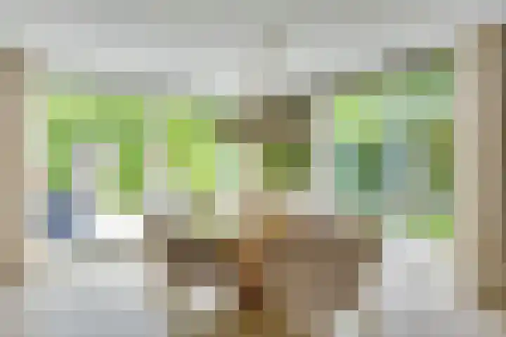 Wilhelminahof 11 Deurne thumbnail 11