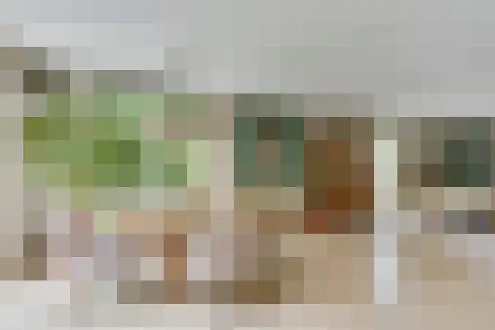 Wilhelminahof 11 Deurne thumbnail 12