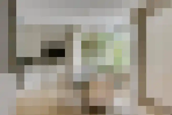 Wilhelminahof 11 Deurne thumbnail 15