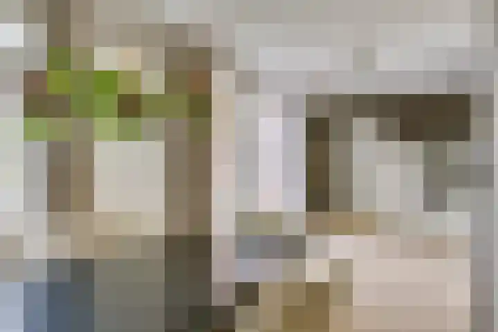 Wilhelminahof 11 Deurne thumbnail 16