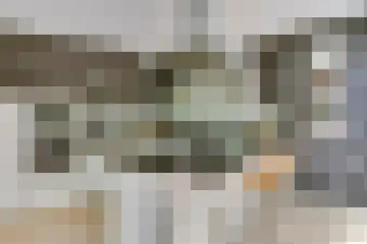 Wilhelminahof 11 Deurne thumbnail 18
