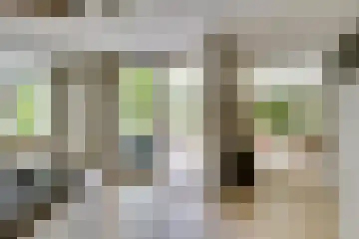 Wilhelminahof 11 Deurne thumbnail 20