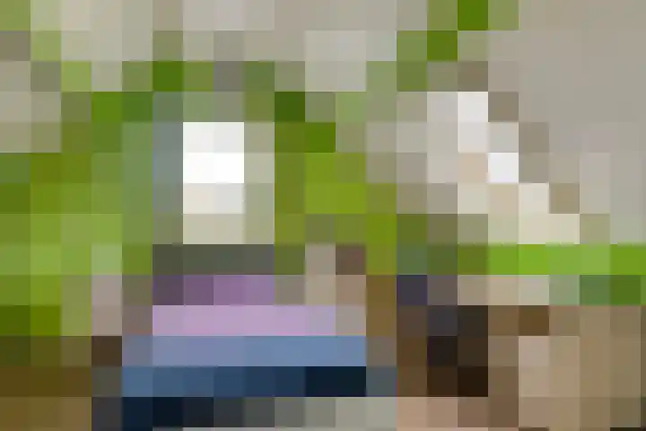 Wilhelminahof 11 Deurne thumbnail 32