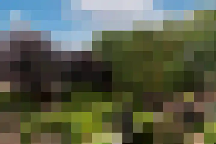 Wilhelminahof 11 Deurne thumbnail 34