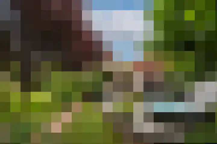 Wilhelminahof 11 Deurne thumbnail 35