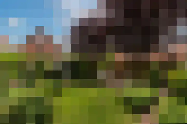 Wilhelminahof 11 Deurne thumbnail 36