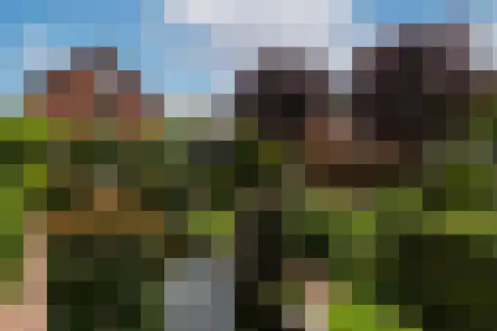 Wilhelminahof 11 Deurne thumbnail 37