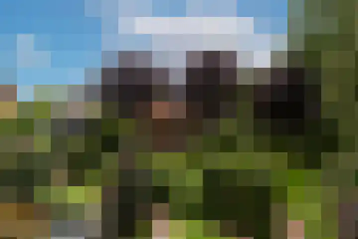 Wilhelminahof 11 Deurne thumbnail 38