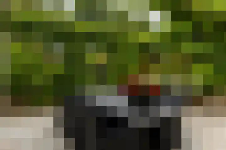 Wilhelminahof 11 Deurne thumbnail 39