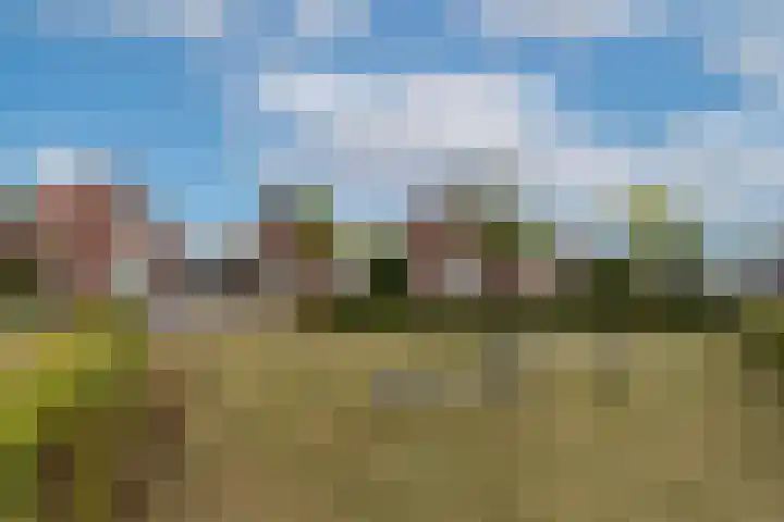 Wilhelminahof 11 Deurne thumbnail 4