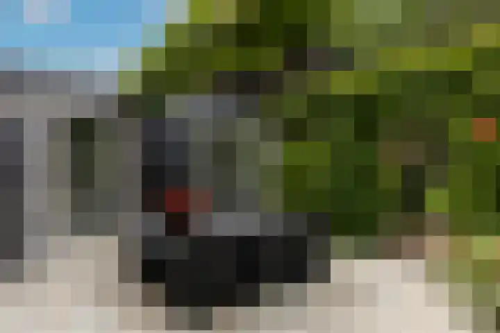 Wilhelminahof 11 Deurne thumbnail 40