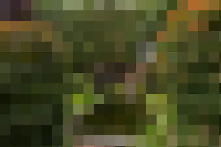 Wilhelminahof 11 Deurne thumbnail 41