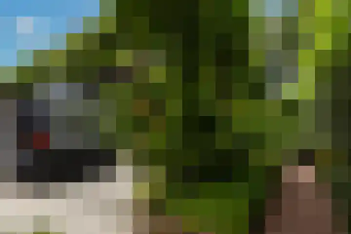 Wilhelminahof 11 Deurne thumbnail 42
